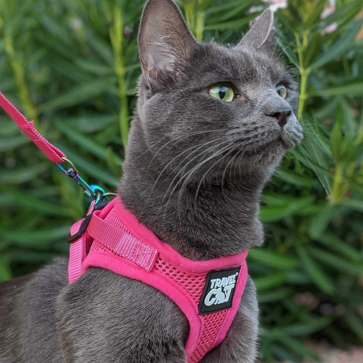 Reflective Cat & Kitten Harness and Leash Z274926