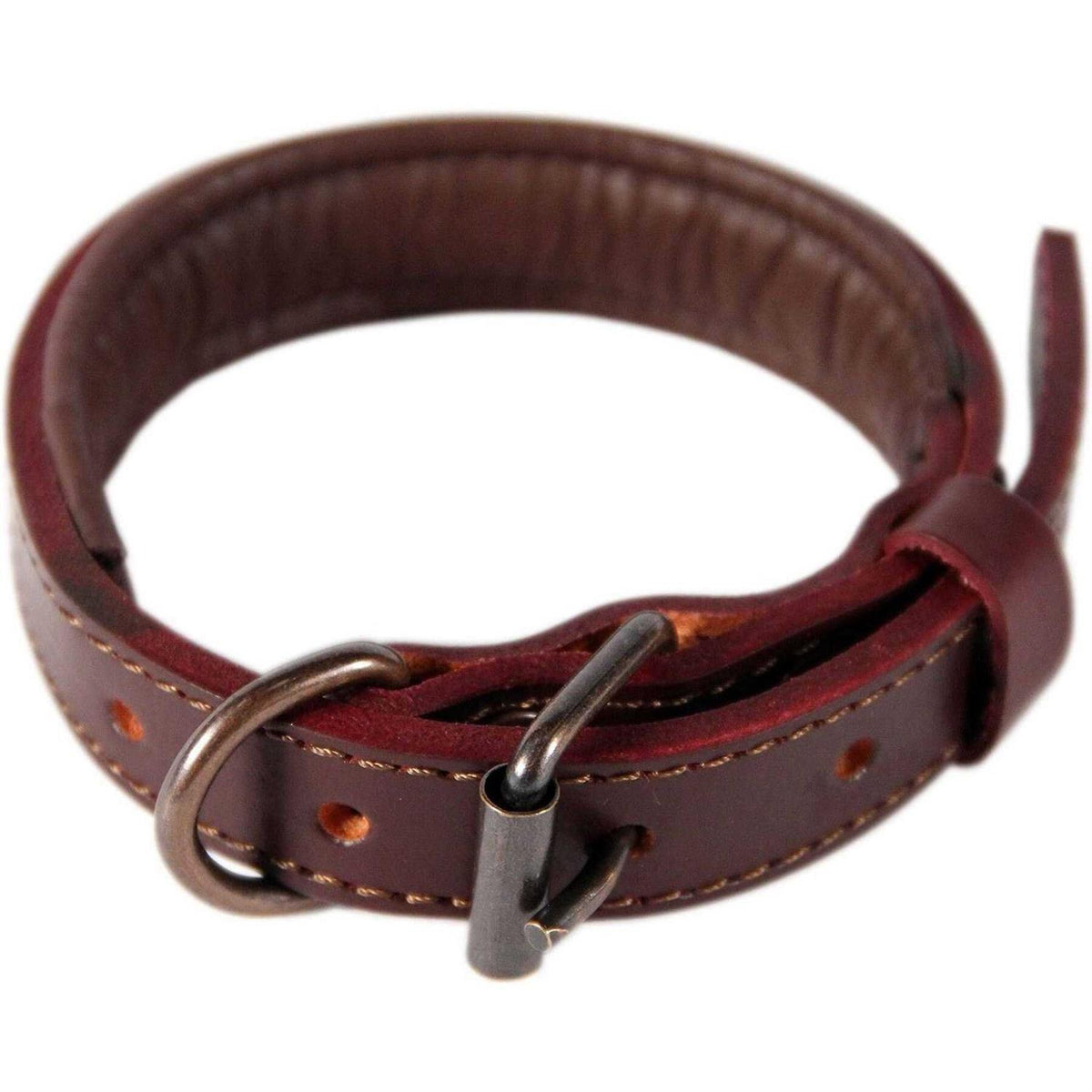Padded Full Grain Genuine Leather Dog Collar B37854