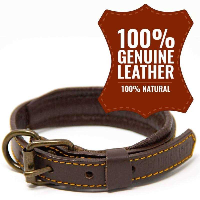 Padded Full Grain Genuine Leather Dog Collar B37854
