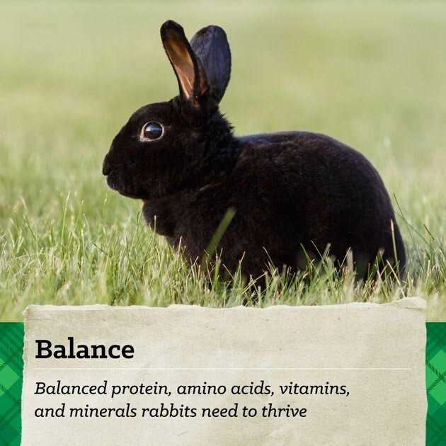 15% Premium Rabbit Feed Y858041
