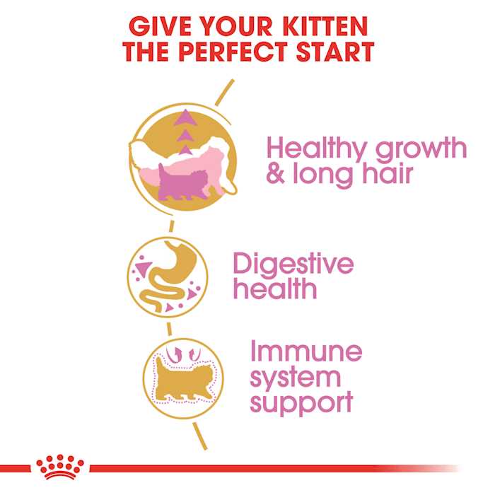 Persian Kitten Dry Cat Food C181665