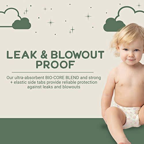 Natural Diapers, Flushable Wipes, Monthly Pack, Size 5, 136 Count Y74146