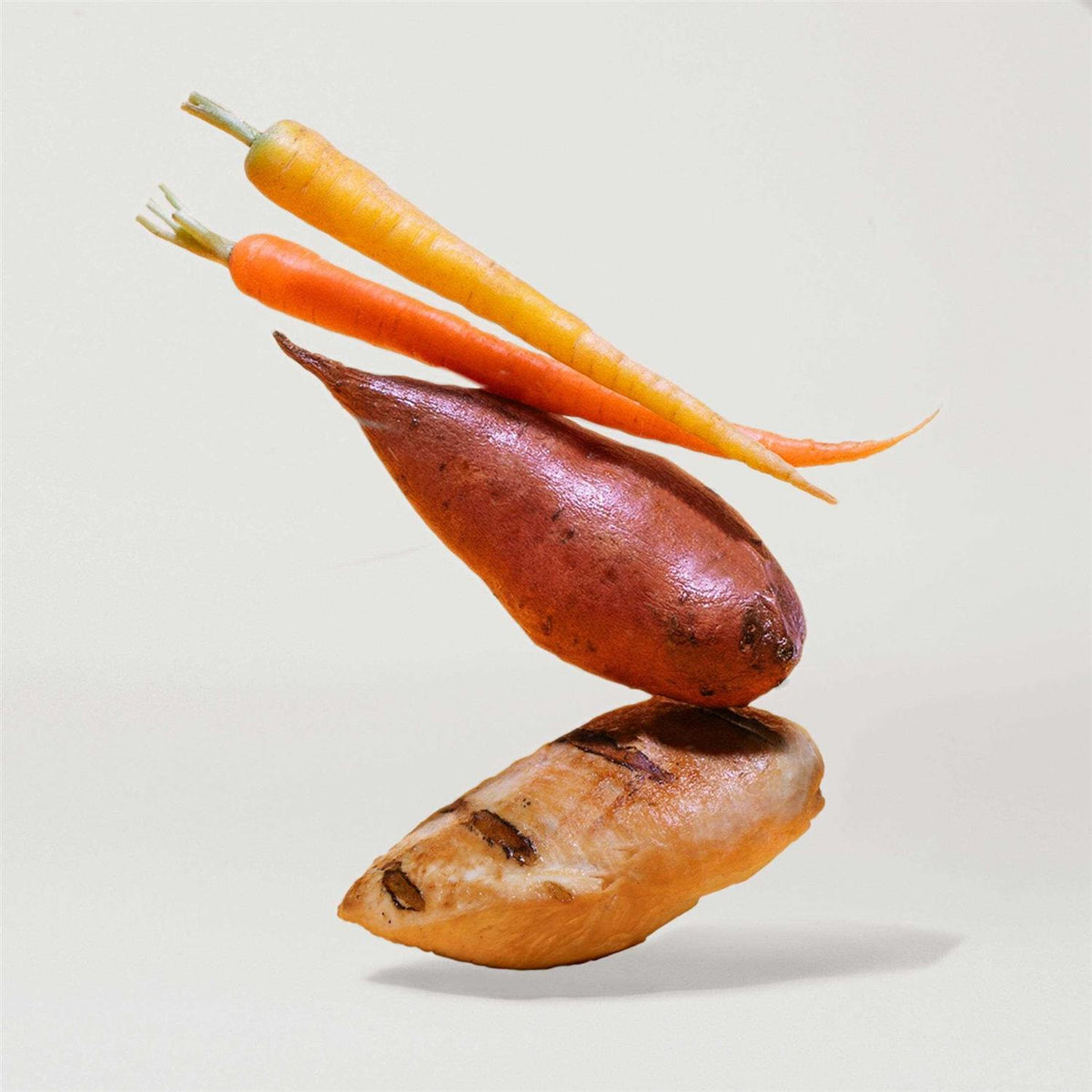 Sweet Potato & Carrot Dry Dog Food S3183