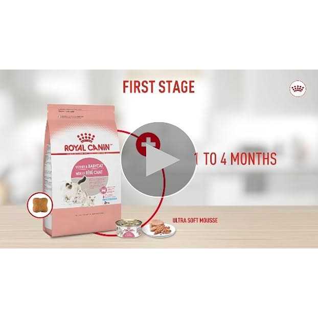 Persian Kitten Dry Cat Food C181665