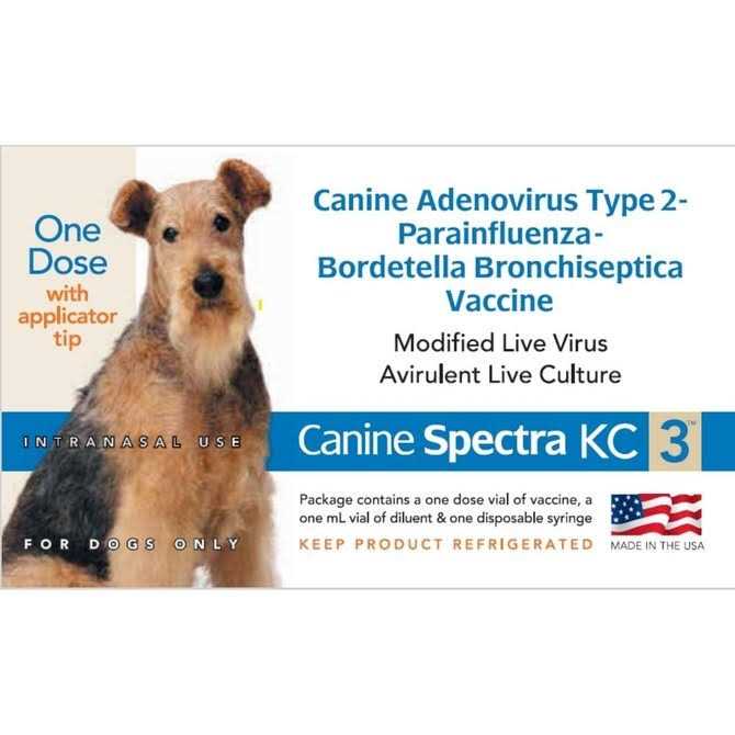Spectra KC3 D1177