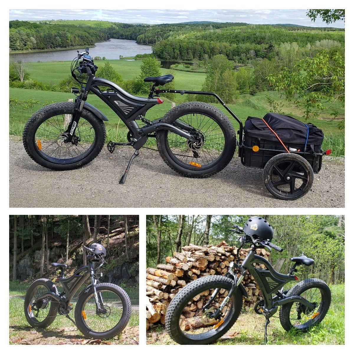 750W 48V 15Ah Fat Tire Electric Mountain Bike A8919