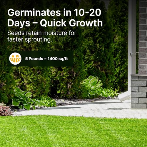 Tall Fescue Grass Seed, 5 lbs C6486