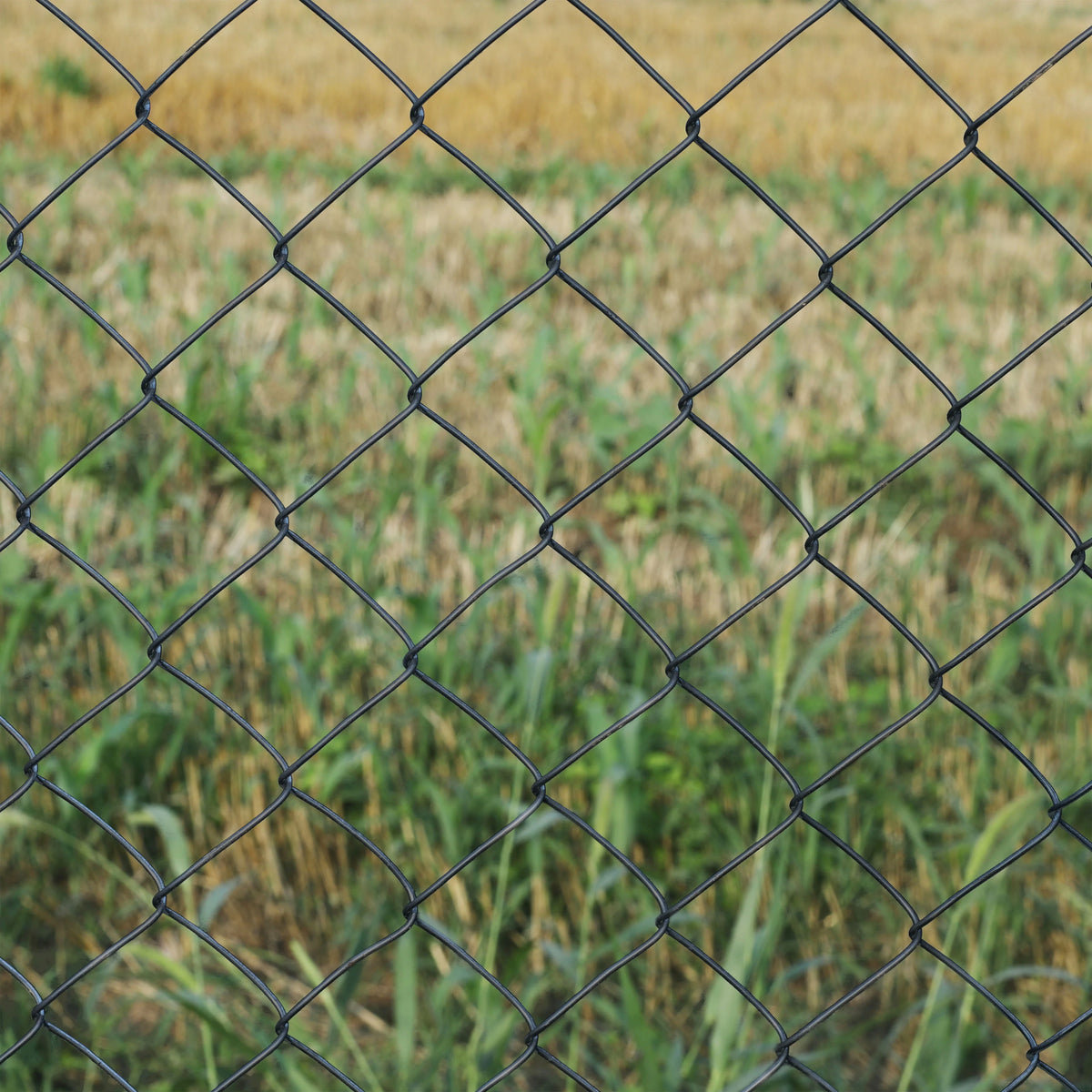 Black PVC Coated Chain Link Steel Fence 5X50 ft Y912