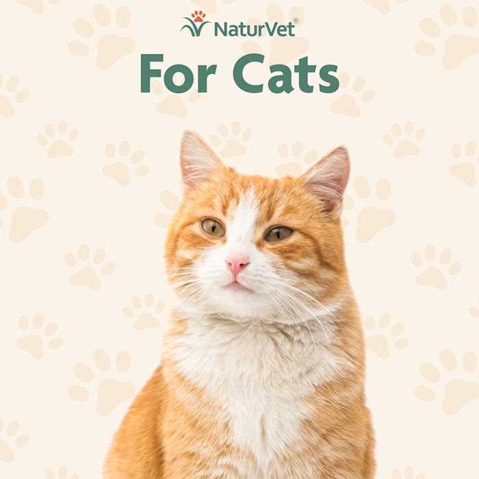 Skin & Coat Plus Omegas for Cats W1945