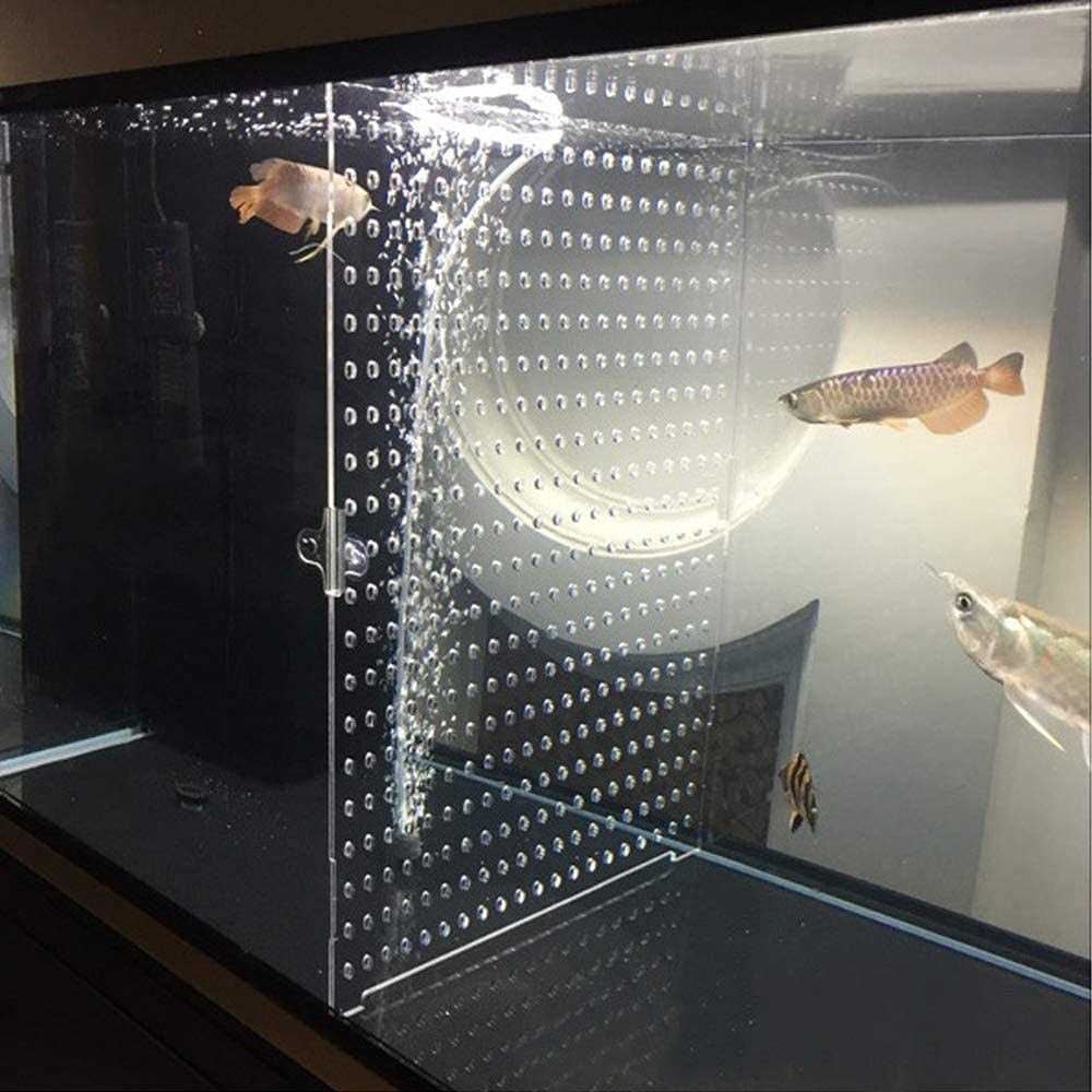 DIY Clear Fish Tank Set N8713