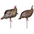 Carbon Jake and Hen Turkey Decoy Combo I981