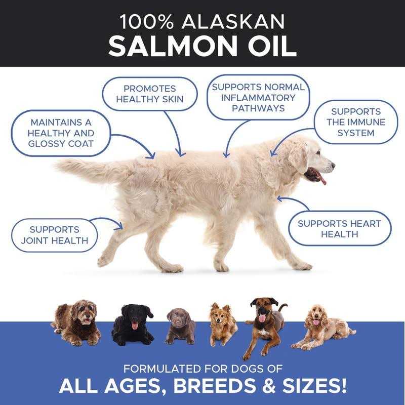 Salmon Oil for Dogs & Cats P543989