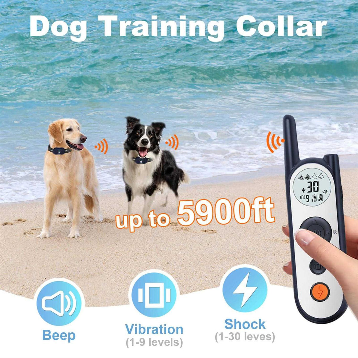 Wireless Dog Fence for 2 Dogs with Remote W12800
