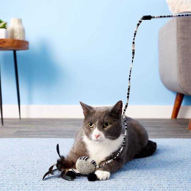 Cat Toy with Wand G6257