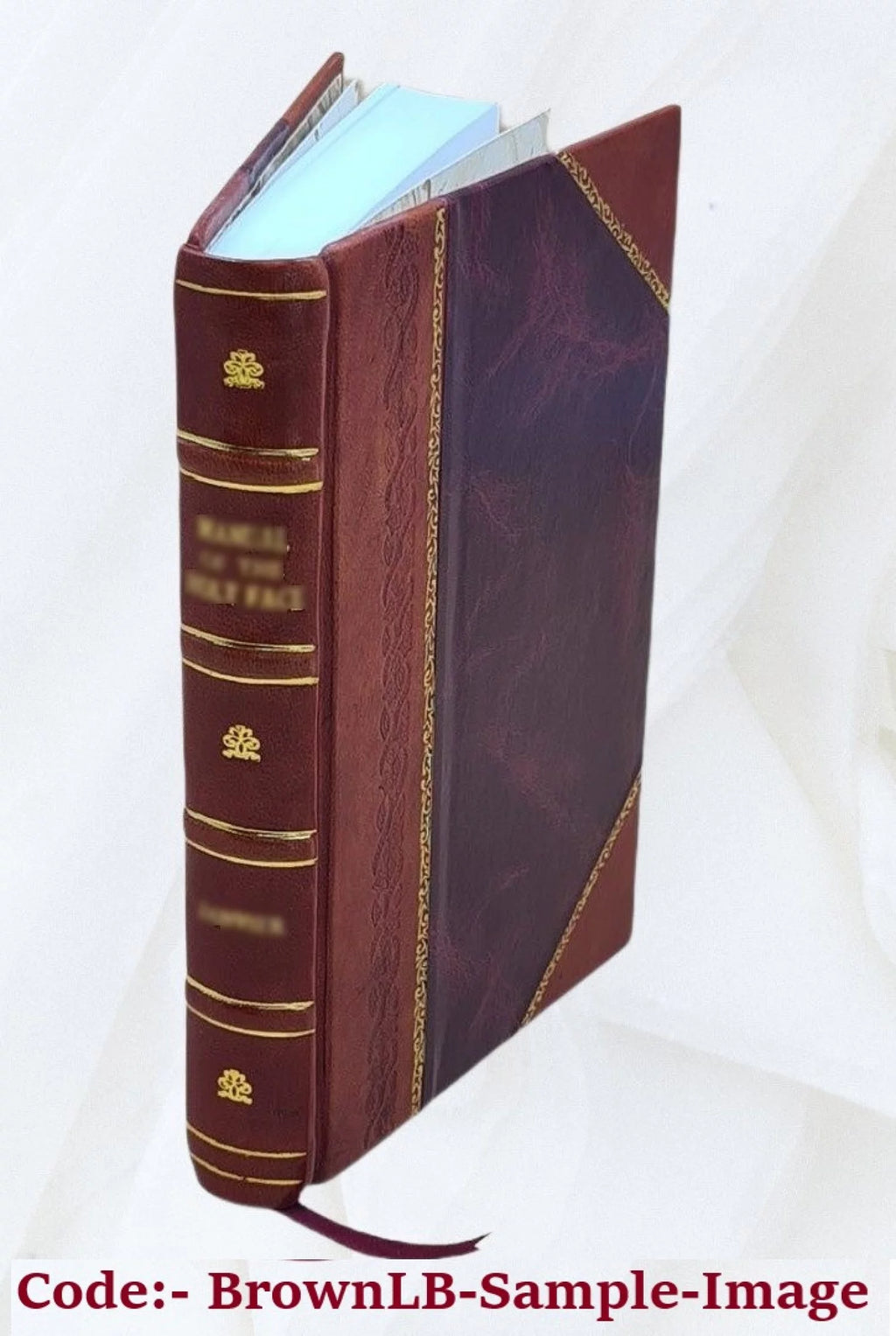 Bürgers Gedichte Leather Bound W3485