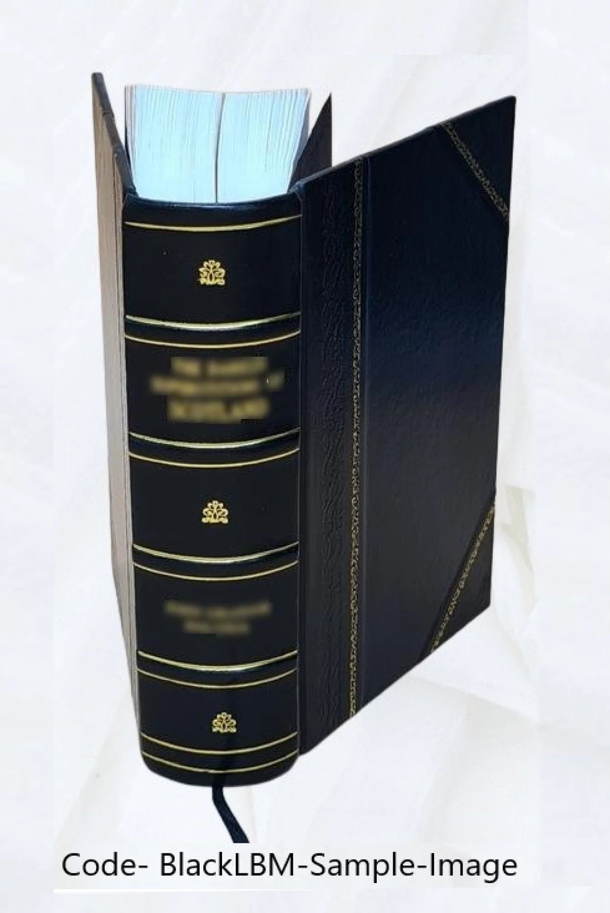 Maladies de l'encéphale Leather Bound Y7015