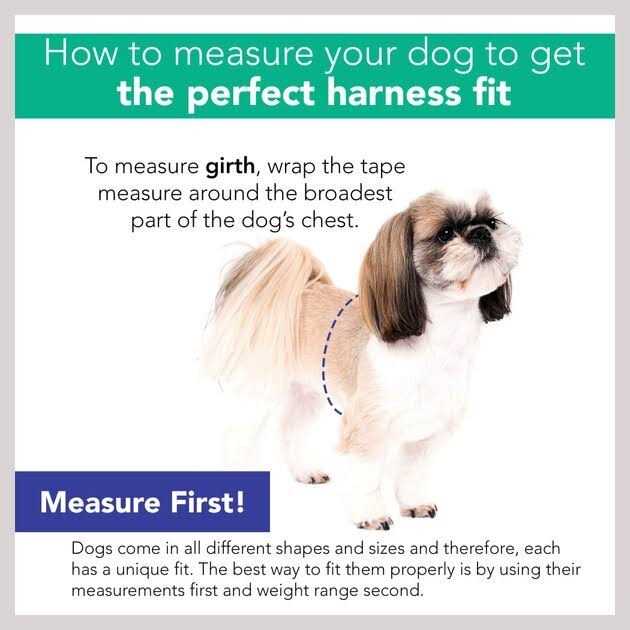 Comfort Mesh Harness U609