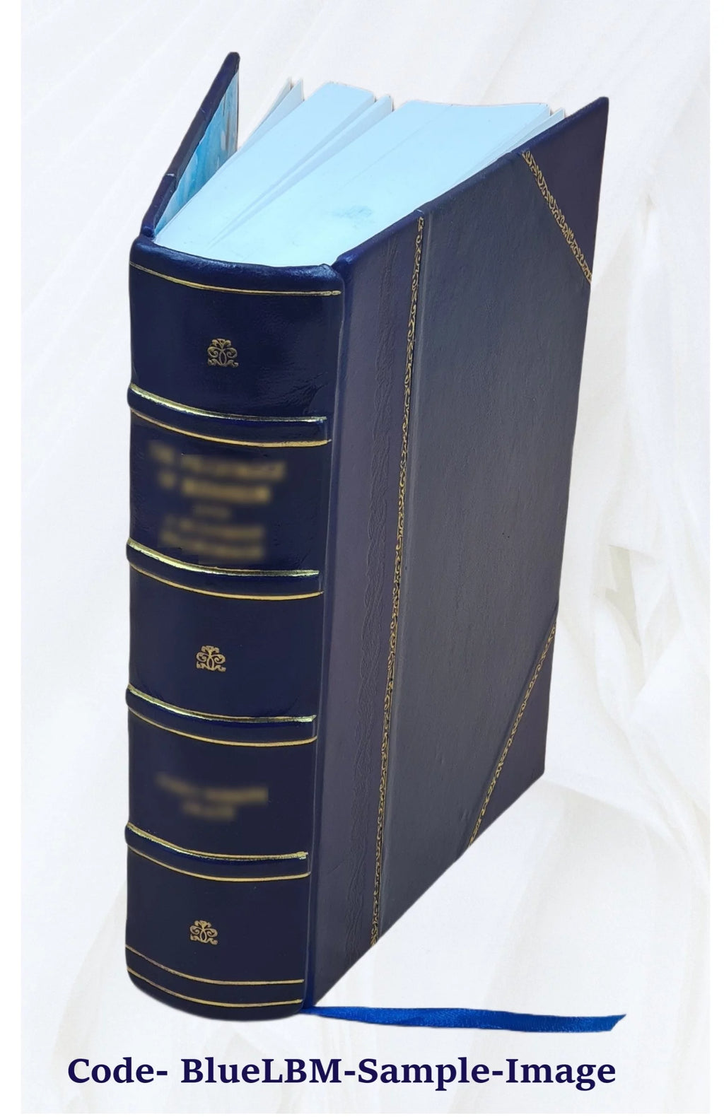 Maladies de l'encéphale Leather Bound Y7015