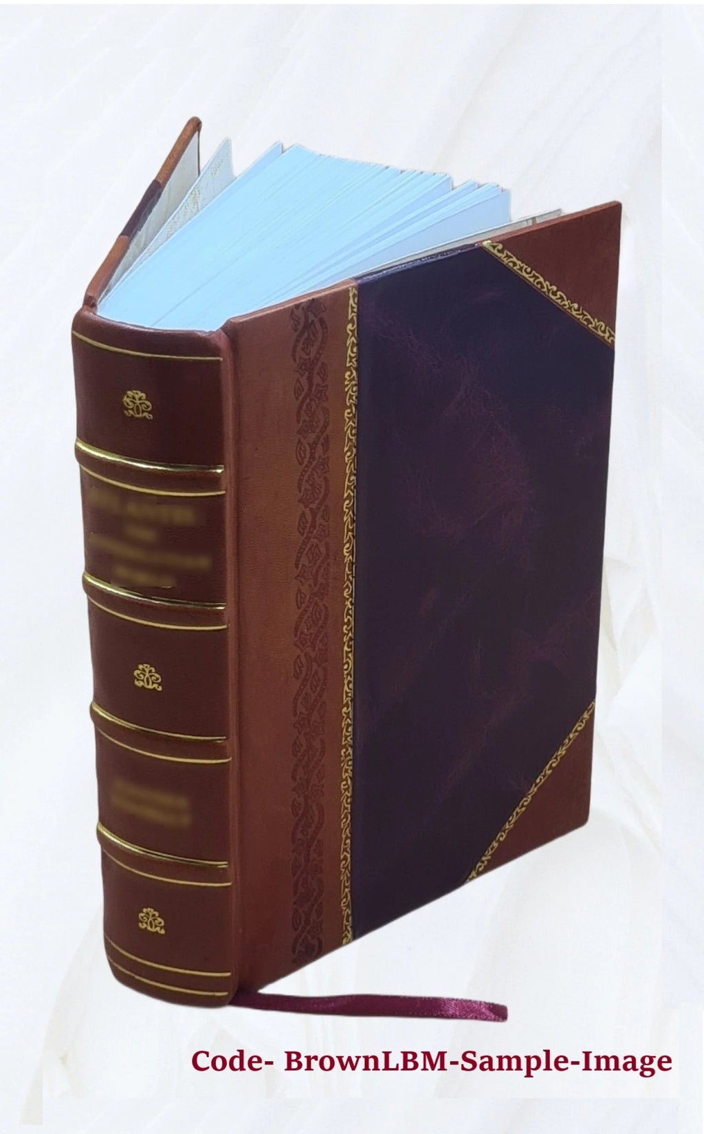 Maladies de l'encéphale Leather Bound Y7015