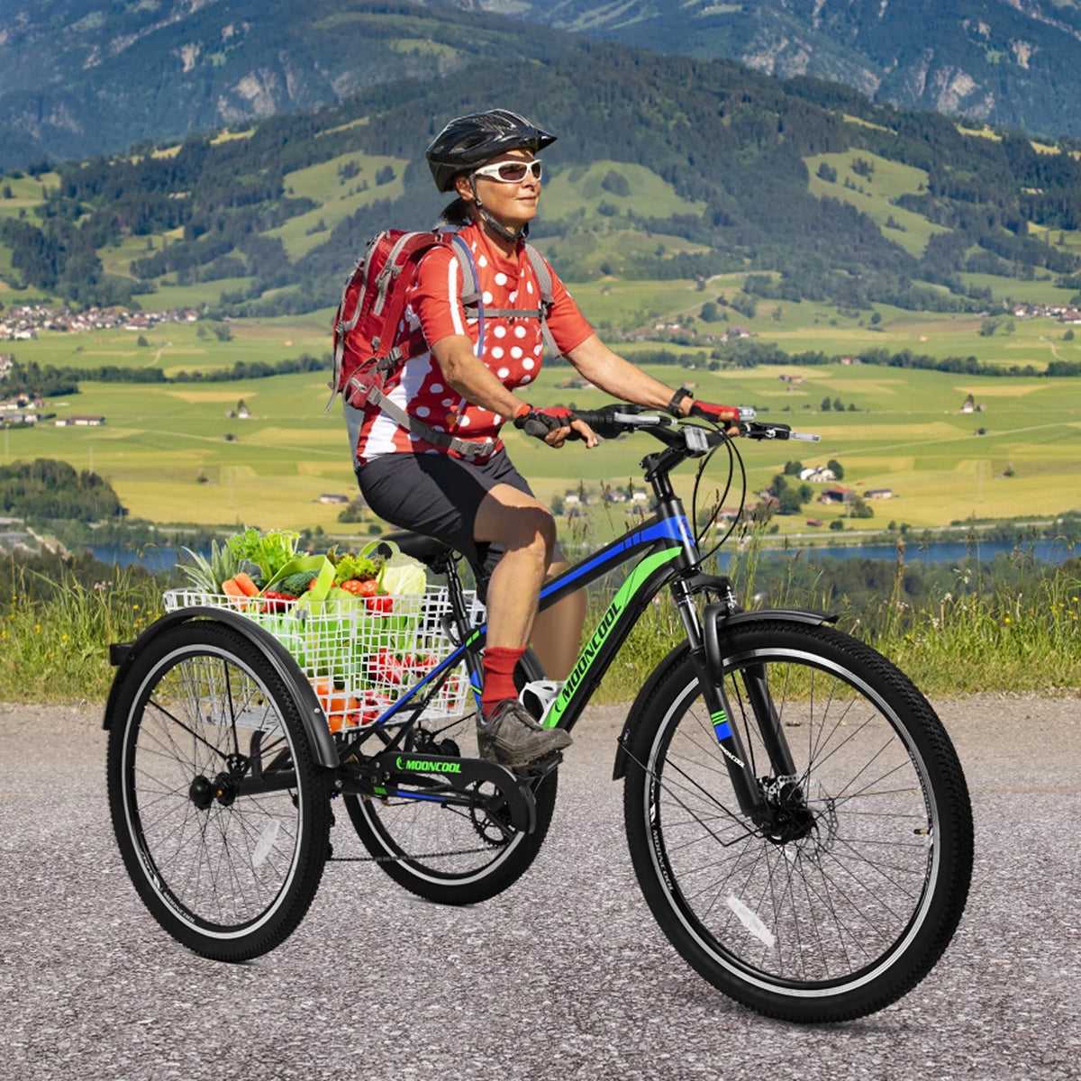 24/26/27.5 Inch 7 Speed Three Wheel Bike with Cargo Basket E815
