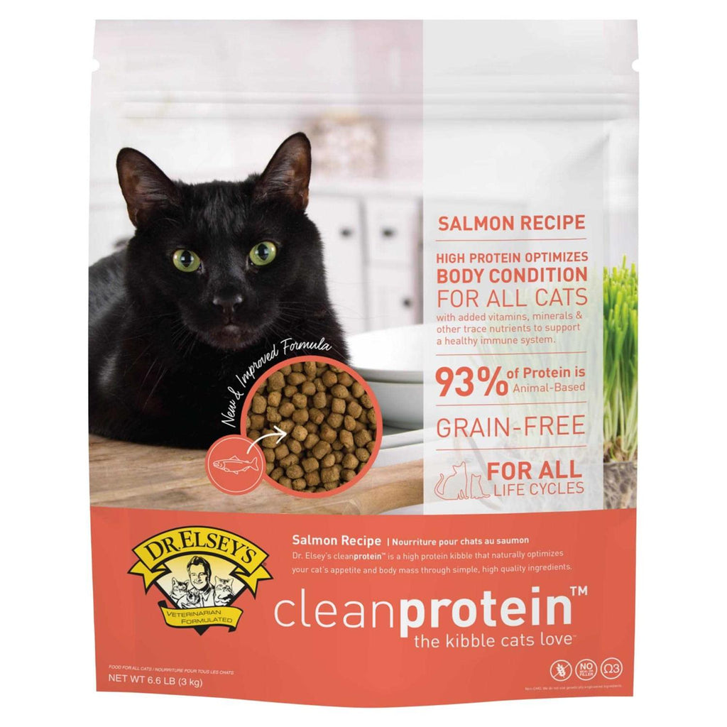 Salmon Dry Cat Food X8976