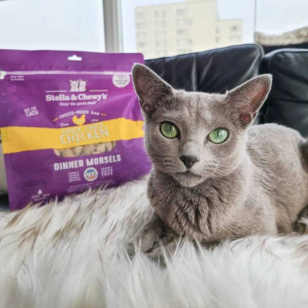 Freeze-Dried Cat Dinner E3318