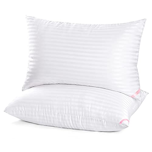 King Size Down Alternative Microfiber Pillows 2 Pack R1029