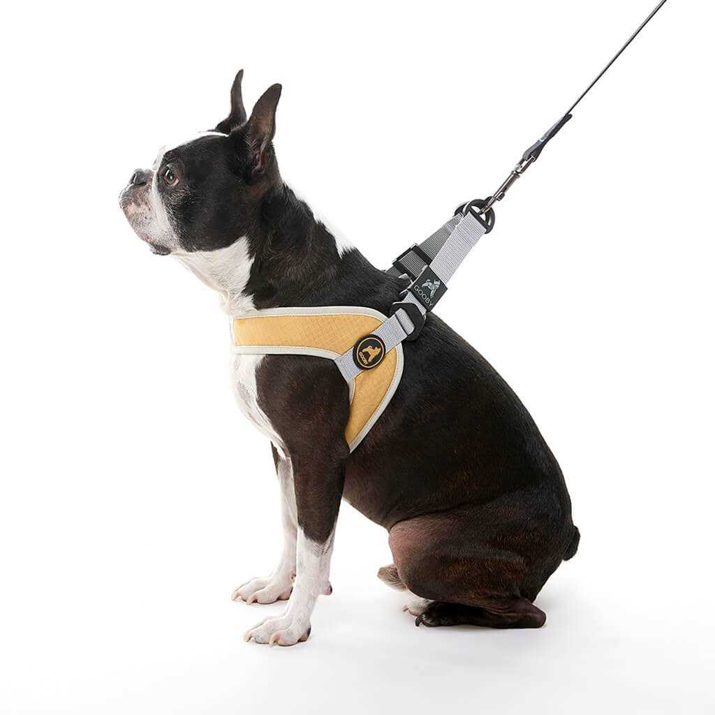 Step-In Dog Harness H780