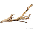 Forest Branch T343