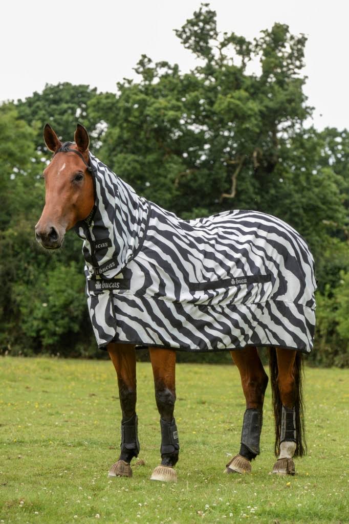 Zebra Sweet Itch U88892