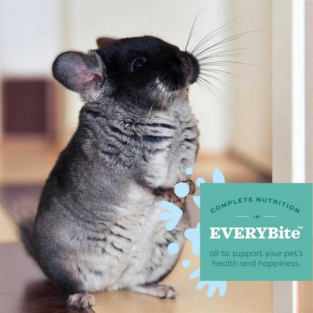 Chinchilla Food Q38046