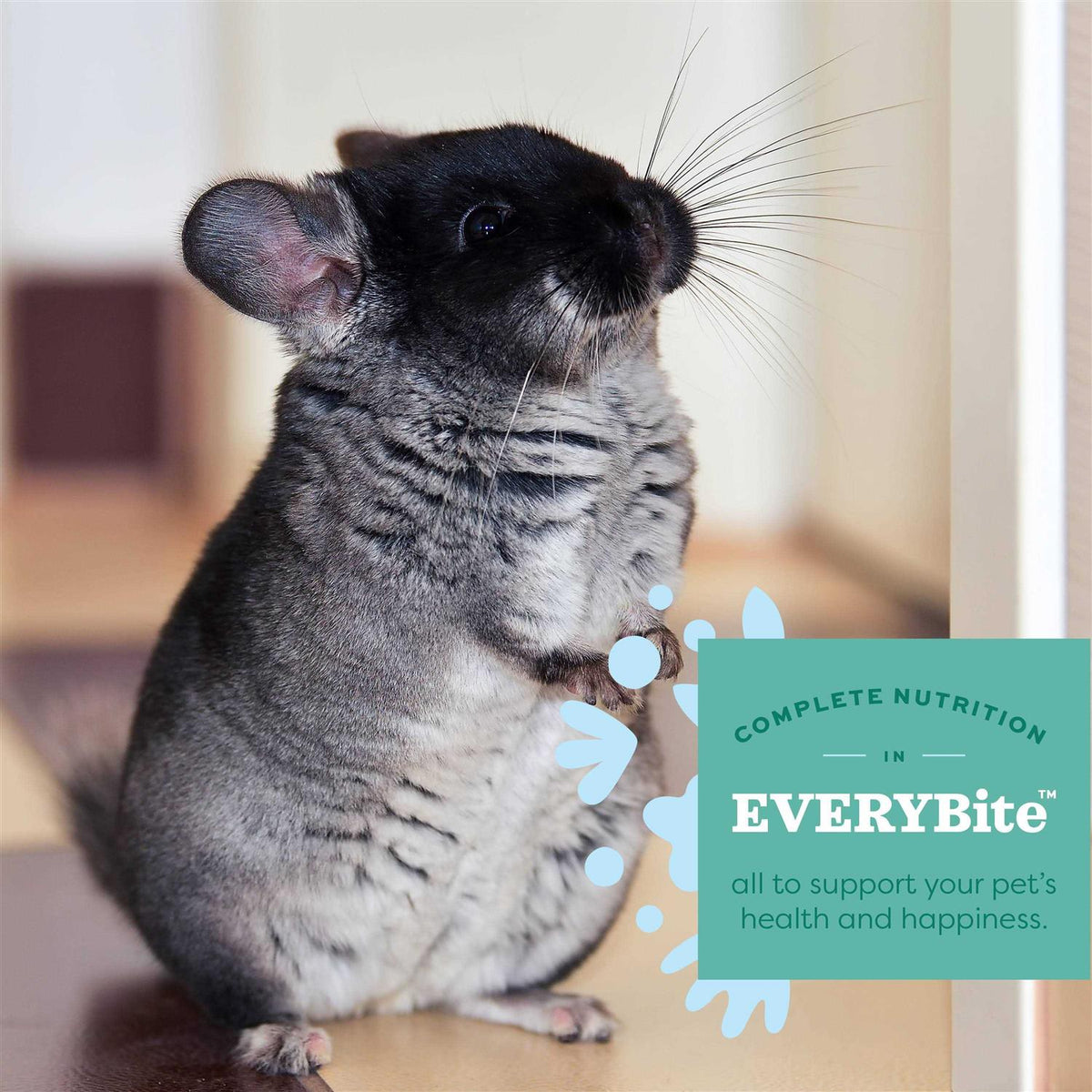 Chinchilla Food Q38046