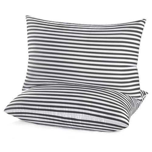 King Size Down Alternative Microfiber Pillows 2 Pack R1029