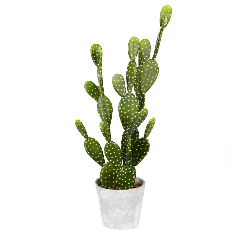 Potted Cactus in Concrete Pot Z734