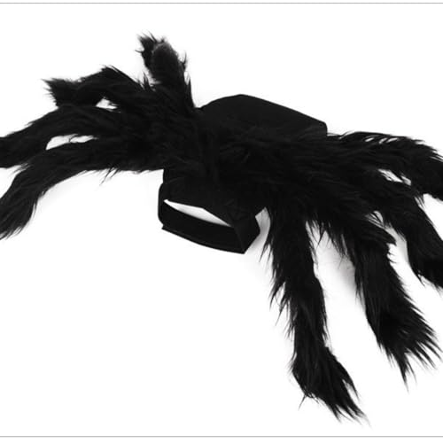 Halloween Pet Costume for Small Dogs & Cats, Lightweight Felt & Polyester, XL F651815