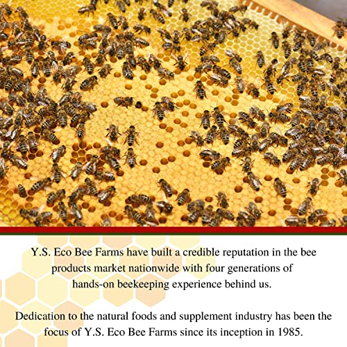 1 Lb Organic Raw Honey A363154