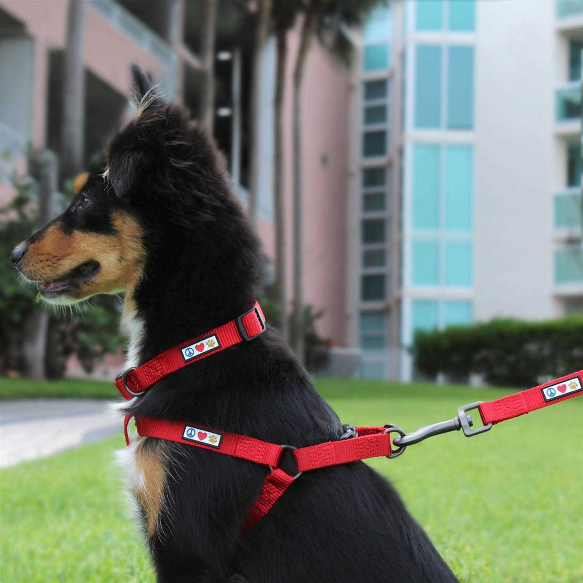 Reflective Step-in Dog Harness P3956