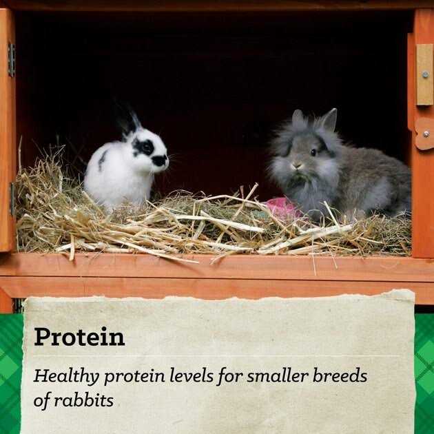 15% Premium Rabbit Feed Y858041