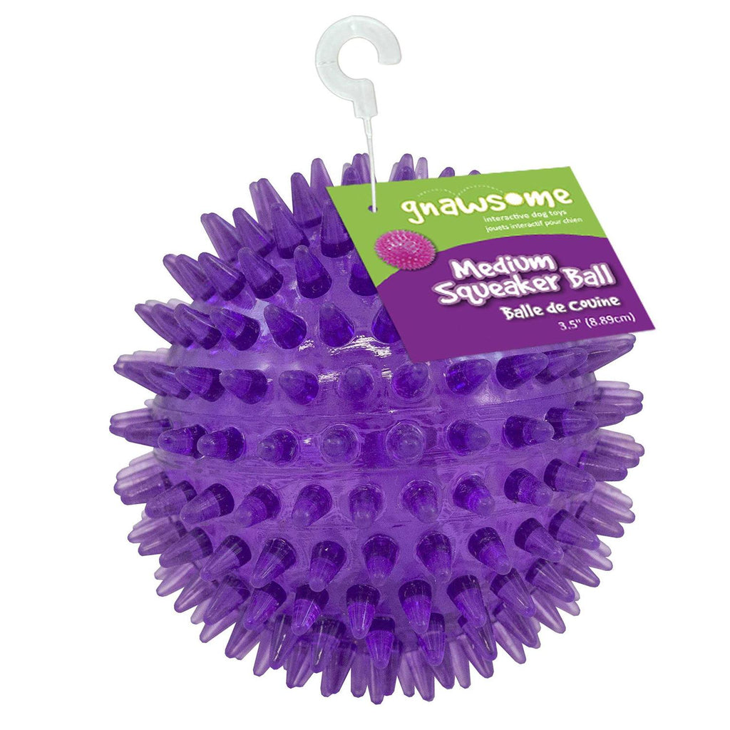 Squeaker Ball Dog Toy B986246