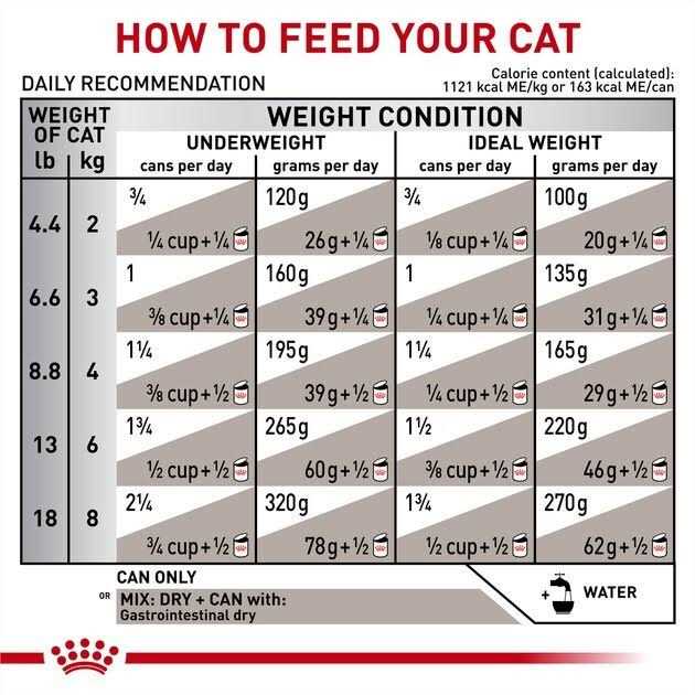 Canned Cat Food C4387