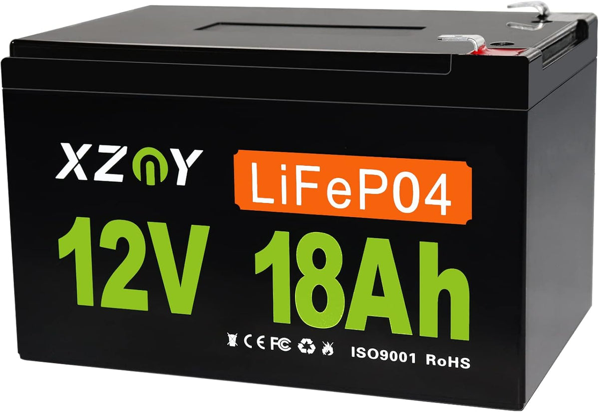 12V 20Ah LiFePO4 Battery with 20A BMS H71556