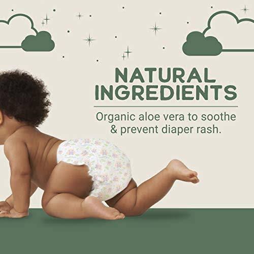 Natural Diapers, Flushable Wipes, Monthly Pack, Size 5, 136 Count Y74146