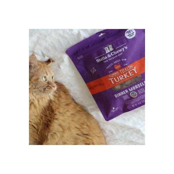 Freeze-Dried Cat Dinner E3318