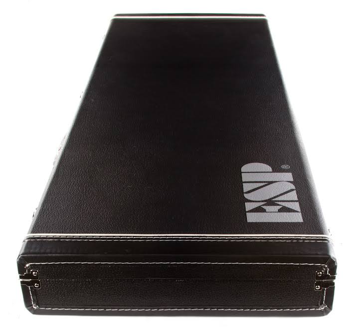 Guitar Case T31133