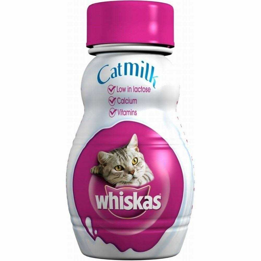 Cat Milk H6416