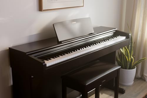 88-Key Weighted Action Digital Piano, Dark Rosewood J774743