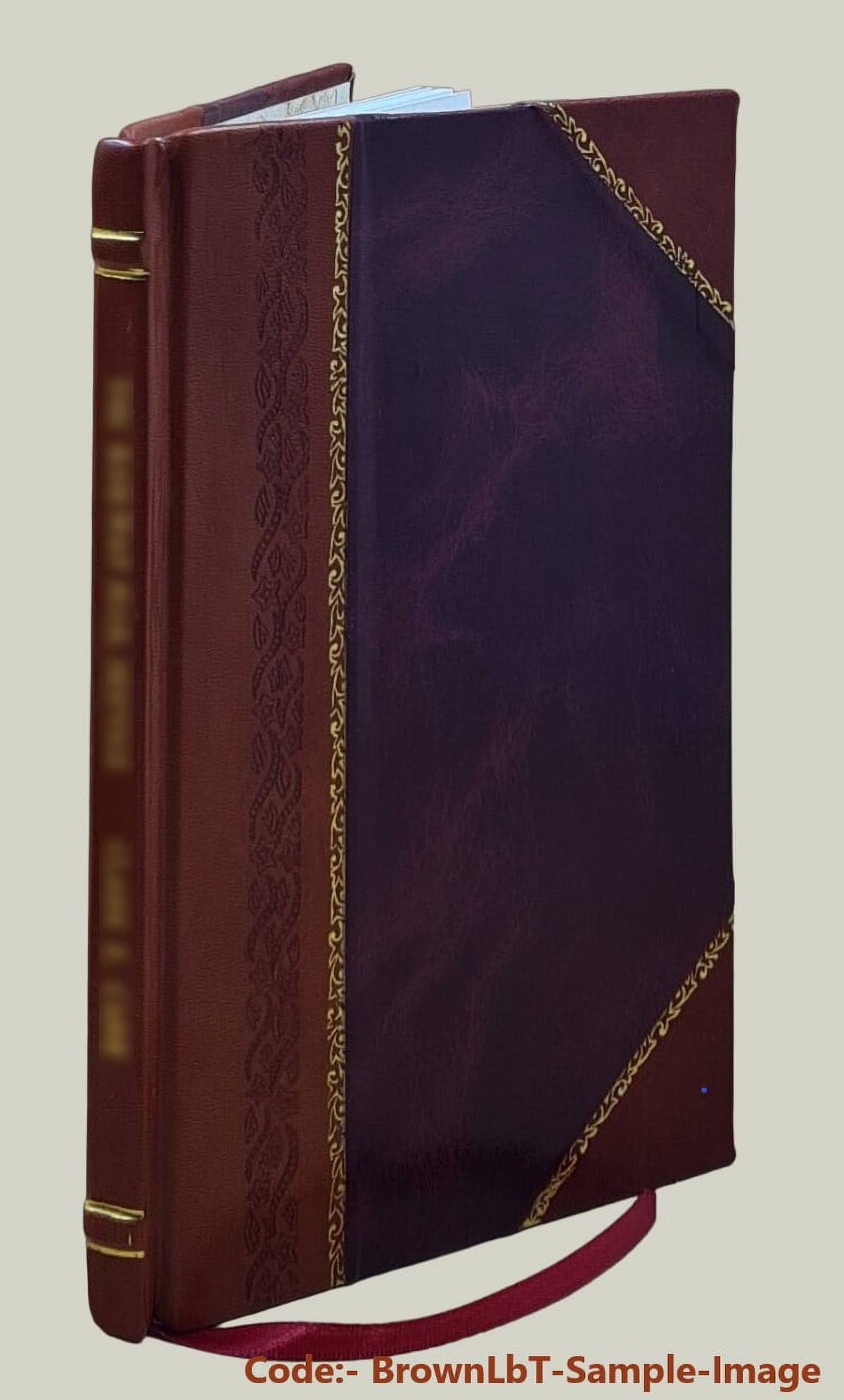 Virgil and Ronsard by Walter Henry Storer 1923 Leather Bound K5566