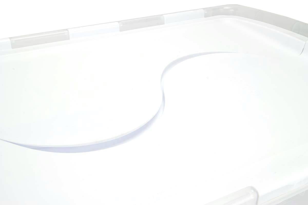 48 Quart Clear Hinged Lid Storage Box Tote (30 Pack) R64645