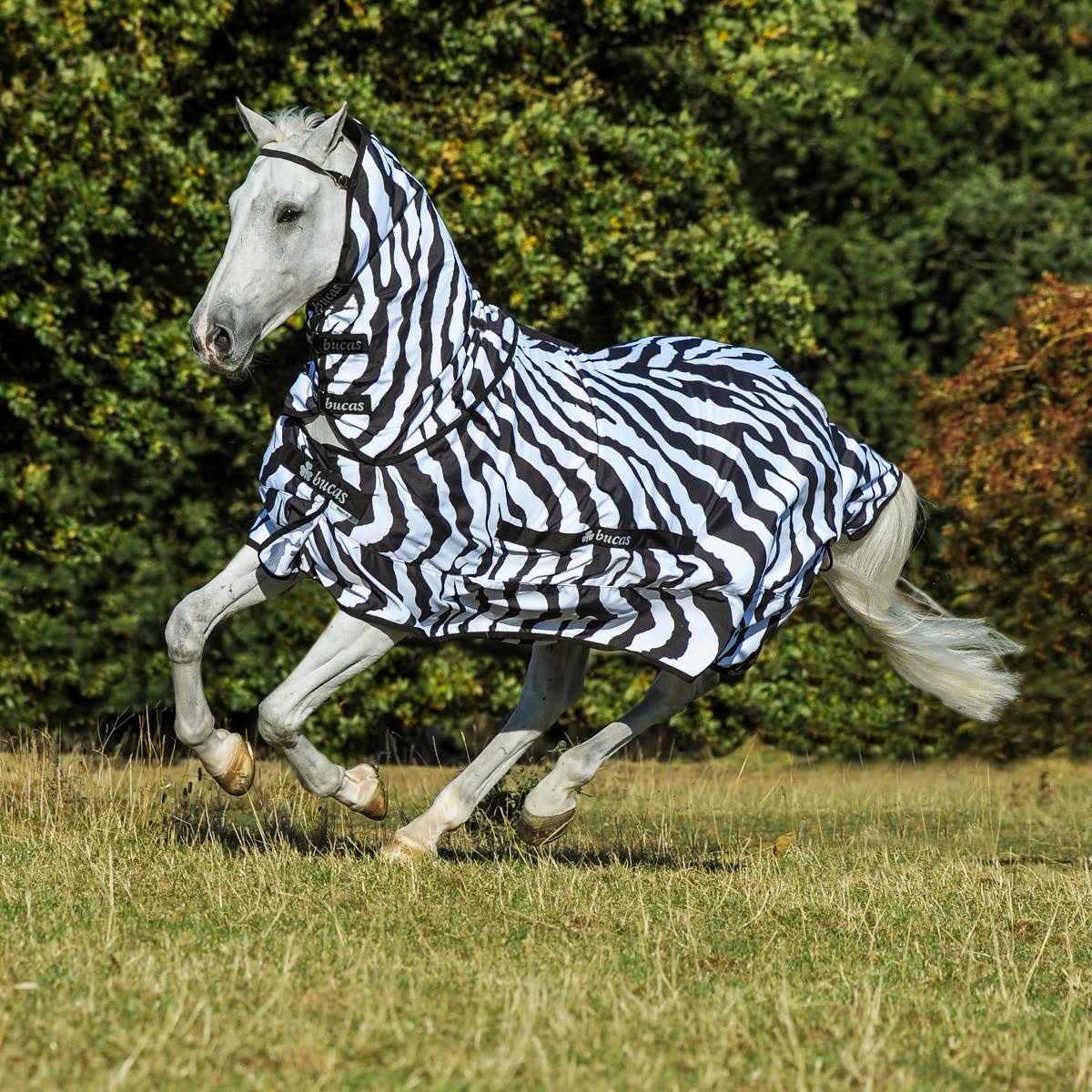 Zebra Sweet Itch U88892