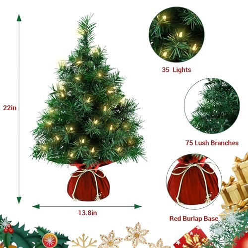 Mini Artificial Christmas Tree 22 Inch with 35 Warm White Lights M815546